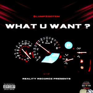 WHAT U WANT ? (Explicit)