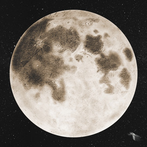 Hummingbird - Astronaut