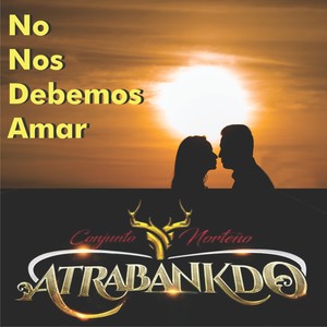 No nos debemos amar