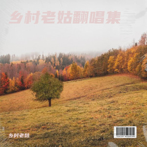 玫瑰窃贼-乡村老姑