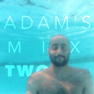 ADAM'S MIX TWO