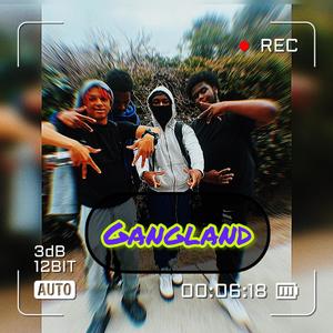 Gangland (Explicit)