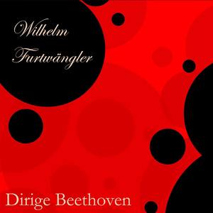 Symphonie No. 9 in D-Moll, Op.125 - I. Allegro ma non troppo, Un poco maestoso