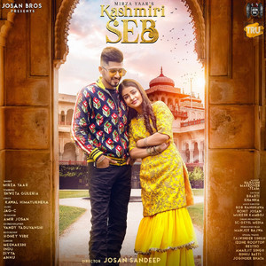 Kashmiri Seb - Single