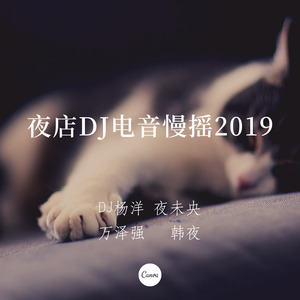 夜店DJ电音慢摇2019