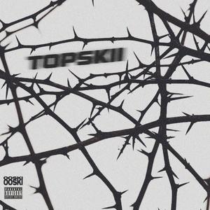 TOPSKII (feat. Shynelevell, 1Guilthy & 1GlizzyB) [Explicit]