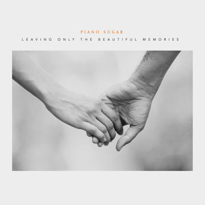 아름다운 추억만 남기고 (Leaving only beautiful memories)