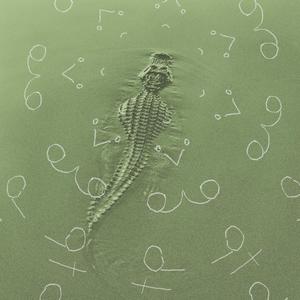 ALLIGATOR (feat. old collin) (MXJIA Remix)