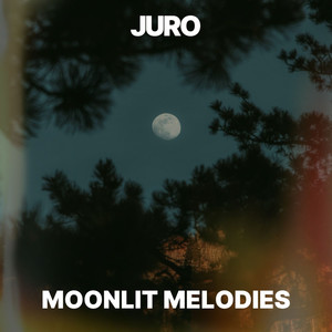 Moonlit Melodies