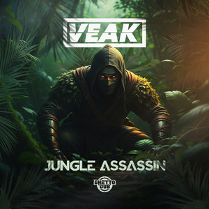 Jungle Assassin (Vinyl Junkie & Sanxion Remix)