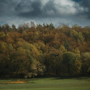 Sweater Weather (feat. s3urlying & khamir) (Explicit)