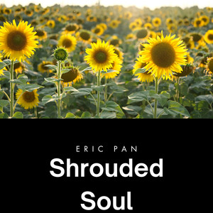 Shrouded Soul