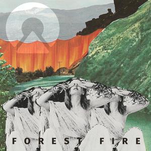 Forest Fire