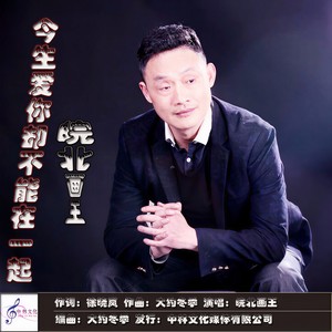 今生爱你却不能在一起