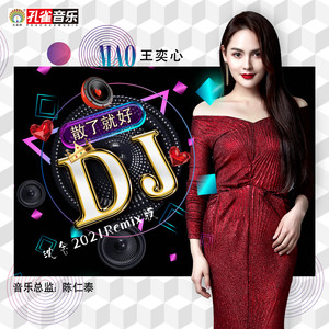 王奕心 - 散了就好 (DJ沈念2021Remix版)