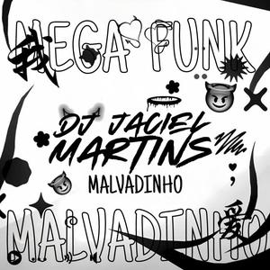 Mega FUNK (MALVADINHO)