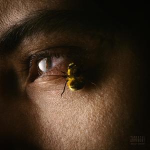 Si J'avais Su (Explicit)