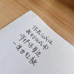 你若成风 (女声|翻自 群星)