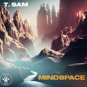 Mindspace