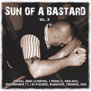 Sun of a ***, Vol. 8 (Explicit)