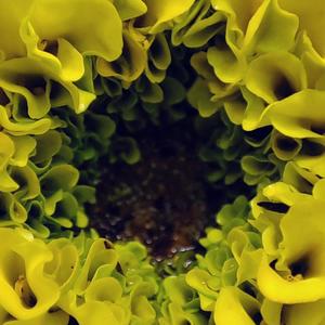 Leben Ist Alles(2022)