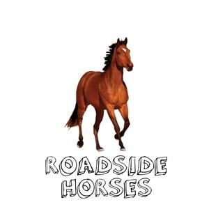 Roadside Horses