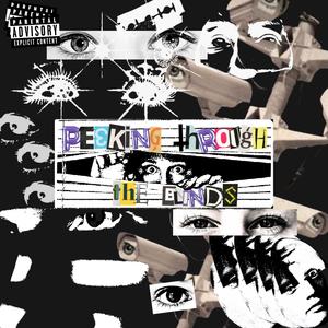 PEEKING THROUGH THE BLINDS (Explicit)