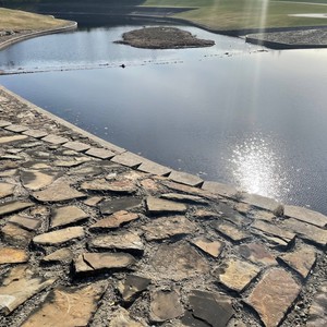 Alexander the Great - WATER(feat. Romance Holocaust) (Radio Edit)