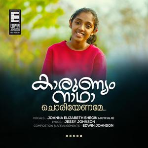 Karunyam (feat. Joanna Elizabeth Shegin (Joyful 6) & Jessy Johnson)