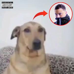 Bicho Solto (feat. Mc Luizinho) (Explicit)