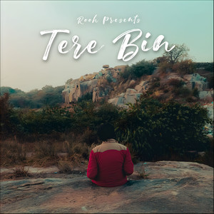 Tere Bin