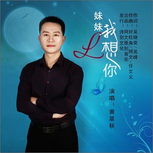 妹妹我想你