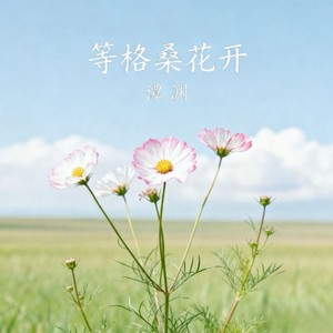 等格桑花开