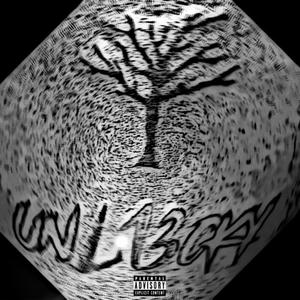 UN713CKY (prod. Li'l Draco & Lil Veekay) (Explicit)