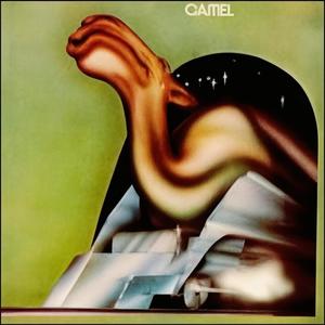 Camel