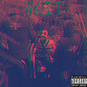 Wait (Explicit)