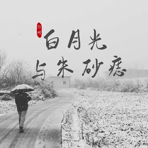 白月光与朱砂痣 (钢琴版)
