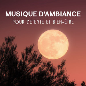 Musique d'ambiance pour détente et bien-être: Calme chansons pour dormir, Santé mentale, Stabilisation, Méditation et harmonie