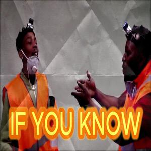 IF YOU KNOW (feat. MOS HOOD, Big Phil, haunnted & oseikrom philly) (Special Version)