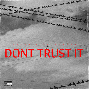 Dont Trust It (Explicit)