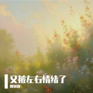 又被左右情绪了