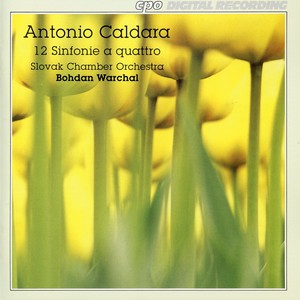 Sinfonia No. 5 in B-Flat Major - Sinfonia No. 5 in B-Flat Major: I. Andante