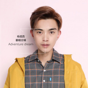 我不愿让你一个人