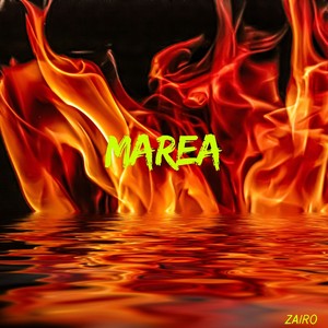 Marea