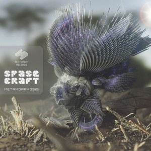 I Have Something (SpaceCraft Rmx)
