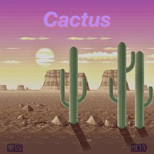 仙人掌 Cactus