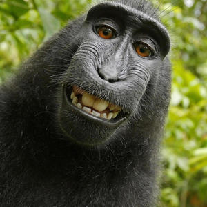 2024 Freestyle (feat. Iceyftw) (Explicit)