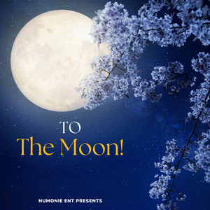 To The Moon (Explicit)