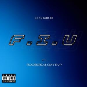 **** it up (feat. Roobird & Oxy rvp) (Explicit)