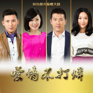 爱情不打烊 (TV Version)